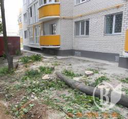 Застройщик незаконно срубил 18 кленов Застройщик незаконно срубил 18 кленов