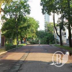 Нічний буревій у Чернігові повалив дерева, порвав дроти і перекрив вулиці - фото Нічний буревій у Чернігові повалив дерева, порвав дроти і перекрив вулиці - фото