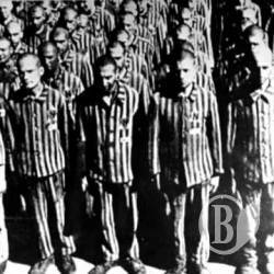 Концлагерь для непокорных. Черниговщина: год 1933-й Концлагерь для непокорных. Черниговщина: год 1933-й