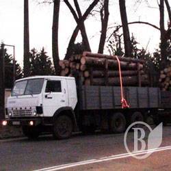 На Чернігівщині зупинили перевезення нелегального лісу На Чернігівщині зупинили перевезення нелегального лісу
