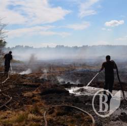 Чернігівці продавали помічнику Царьова торф дешевше від собівартості Чернігівці продавали помічнику Царьова торф дешевше від собівартості