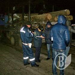 Як діяти, якщо попалися з нелегальним лісом? Як діяти, якщо попалися з нелегальним лісом?