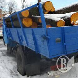 В Прилуках затримано вантаж лісу без документів. Фото В Прилуках затримано вантаж лісу без документів. Фото