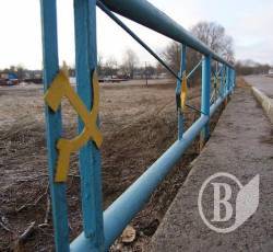 Желто-голубой совок Желто-голубой совок