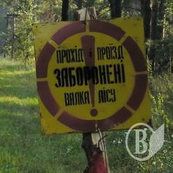Кулич сообщил о катастрофе: полиция не может справиться с вырубками лесополос Кулич сообщил о катастрофе: полиция не может справиться с вырубками лесополос