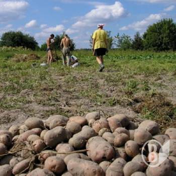 Лазар ставить найбільший в Україні крохмальний завод. Відео Лазар ставить найбільший в Україні крохмальний завод. Відео