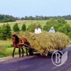 Оппоблок не зміг заблокувати перейменування сіл на Чернігівщині Оппоблок не зміг заблокувати перейменування сіл на Чернігівщині