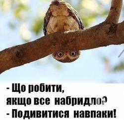 Деньги и глупость дают наибольшие шансы на победу на выборах. - Мысли вслух Деньги и глупость дают наибольшие шансы на победу на выборах. - Мысли вслух