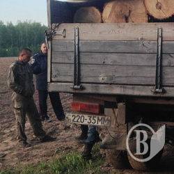 Продолжается расследование воров дуба из Товстолеса Продолжается расследование воров дуба из Товстолеса