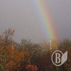Від дощу підтопило хати й розмило дороги Від дощу підтопило хати й розмило дороги