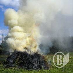 Після свиней спалили і їхній навоз Після свиней спалили і їхній навоз