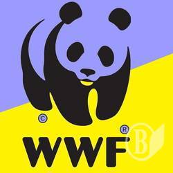 WWF набирает в «Лесную стражу» WWF набирает в «Лесную стражу»