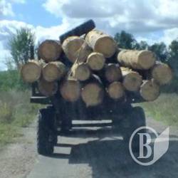 Про беззаконня в природно-заповідному фонді – 9 вересня у КМЦ Інтермеццо Про беззаконня в природно-заповідному фонді – 9 вересня у КМЦ Інтермеццо