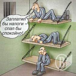 Фіскальна служба стала менше перевіряти Фіскальна служба стала менше перевіряти