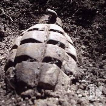 На околиці Чернігова знайшли гранату На околиці Чернігова знайшли гранату