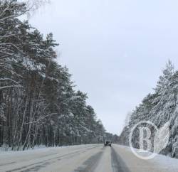 Хоніч мріє про дні Гомеля в Чернігові. Хоч і не проти шопінг-турів Хоніч мріє про дні Гомеля в Чернігові. Хоч і не проти шопінг-турів