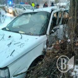 Дерево остановило пьяного в Чернигове Дерево остановило пьяного в Чернигове