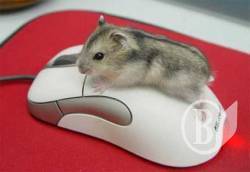 Лайфхакер: Секретні можливості комп’ютерної миші