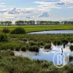 Прокурор відсудив 9 га водного фонду Прокурор відсудив 9 га водного фонду