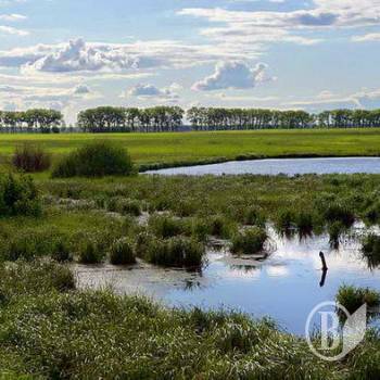 Прокурор відсудив 9 га водного фонду Прокурор відсудив 9 га водного фонду