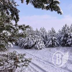 Розлили невідому гидоту на 10 квадратів Розлили невідому гидоту на 10 квадратів