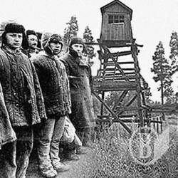 Тюрьма сдала в аренду свою землю Тюрьма сдала в аренду свою землю