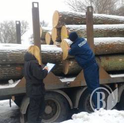 Поліцейські на Чернігівщині затримали 21 кубометр лісу - ФОТО Поліцейські на Чернігівщині затримали 21 кубометр лісу - ФОТО