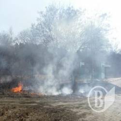 Щойно зійшов сніг і ледве підсохла земля, як почалося… (фото) Щойно зійшов сніг і ледве підсохла земля, як почалося… (фото)