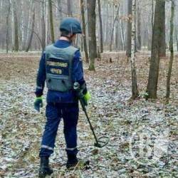 Лісові «проліски», які мають збирати тільки рятувальники Лісові «проліски», які мають збирати тільки рятувальники