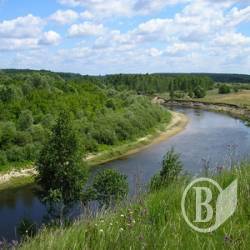 ФОП має звільнити гектари на Снові ФОП має звільнити гектари на Снові