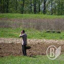 Суд вкотре повертає державі землі, віддані в оренду РДА Суд вкотре повертає державі землі, віддані в оренду РДА