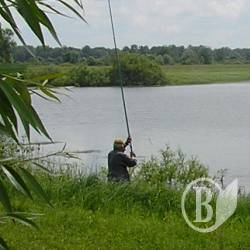 Односельця знайшли у ставку Односельця знайшли у ставку