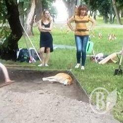 Археологи на Валу шукають залишки давньої забудови Археологи на Валу шукають залишки давньої забудови