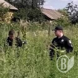 Фотомиттєвості роботи поліції на плантації конопель Фотомиттєвості роботи поліції на плантації конопель