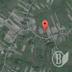 Односельця дістали зі ставка мертвим Односельця дістали зі ставка мертвим