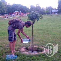 Посадити дерево мало. Йому слід ще допомогти Посадити дерево мало. Йому слід ще допомогти
