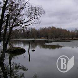 34-літнього дістали зі ставка вже мертвим 34-літнього дістали зі ставка вже мертвим