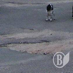 Чиновник «пронедбав» 132 тисячі на користь дорожників Чиновник «пронедбав» 132 тисячі на користь дорожників