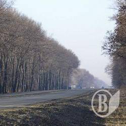 Автошлях «Київ – Нові Яриловичі» – в числі найбільш небезпечних Автошлях «Київ – Нові Яриловичі» – в числі найбільш небезпечних