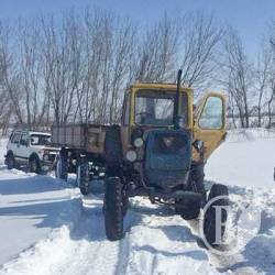 Попалися крадії дубів у Бахмацькому районі Попалися крадії дубів у Бахмацькому районі
