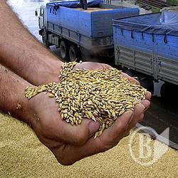 Елеватор «Grain Alliance» сушить зерно на біопаливі Елеватор «Grain Alliance» сушить зерно на біопаливі