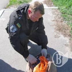 Офіційно про затриманого навіженого з «бімбою» у маршрутці на Київ Офіційно про затриманого навіженого з «бімбою» у маршрутці на Київ