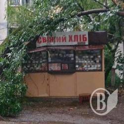 Дерево підтримало «травлю» кіосків у Чернігові і привалило один з них Дерево підтримало «травлю» кіосків у Чернігові і привалило один з них