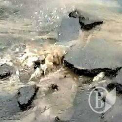Що буде з вуличками, де дощ «змив» асфальт? Що буде з вуличками, де дощ «змив» асфальт?