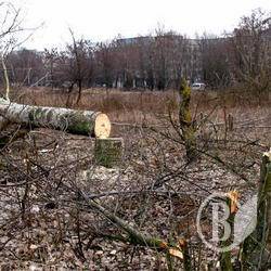 Місце сидіння визначає, чи дерибанять Ялівщину, чи «облаштовують» Місце сидіння визначає, чи дерибанять Ялівщину, чи «облаштовують»