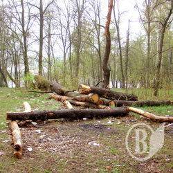 Суд вважає, що є дві Ялівщини Суд вважає, що є дві Ялівщини