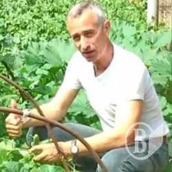 Стережіться немитої городини, щоб не стати заручником унітазу Стережіться немитої городини, щоб не стати заручником унітазу
