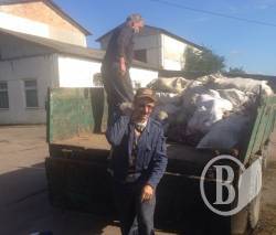 Овочі для районної лікарні збирають по людях Овочі для районної лікарні збирають по людях