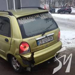 Кошенята в автотрощі не постраждали Кошенята в автотрощі не постраждали
