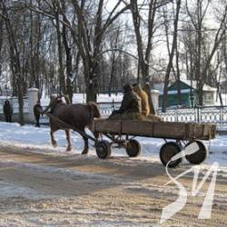 Понад сотня дорожників працювали в неділю зі снігом Понад сотня дорожників працювали в неділю зі снігом
